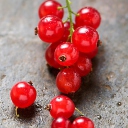 Red Berries wallpaper 128x128