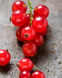 Sfondi Red Berries 128x160