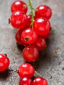 Red Berries wallpaper 132x176