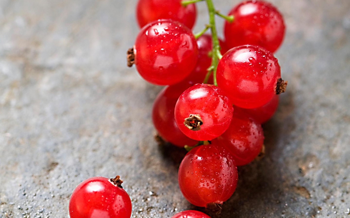 Fondo de pantalla Red Berries 1440x900