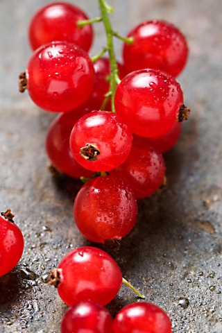 Sfondi Red Berries 320x480