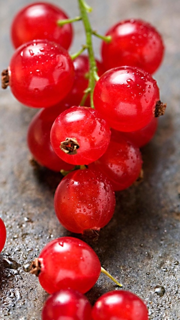 Обои Red Berries 360x640