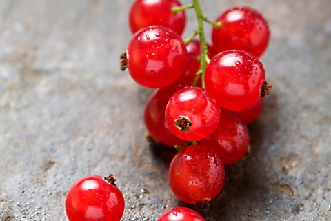 Das Red Berries Wallpaper 480x320