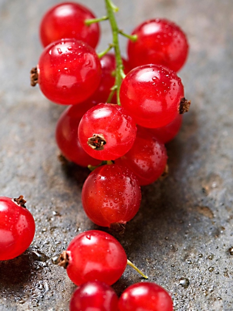 Red Berries wallpaper 480x640