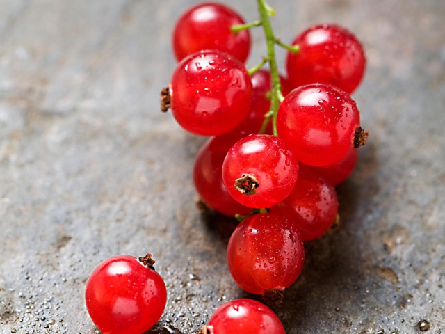 Sfondi Red Berries 640x480