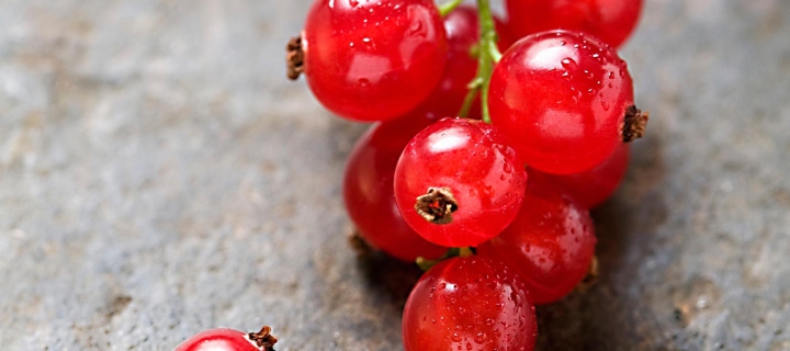Sfondi Red Berries 720x320