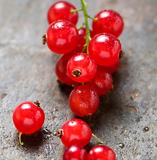 Red Berries sfondi gratuiti per 1024x1024