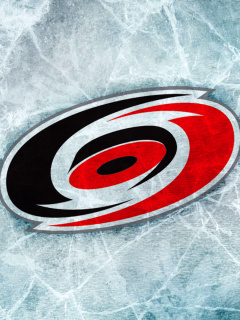 Fondo de pantalla Carolina Hurricane 240x320