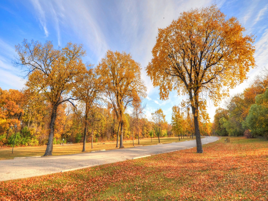 Autumn Path wallpaper 1024x768