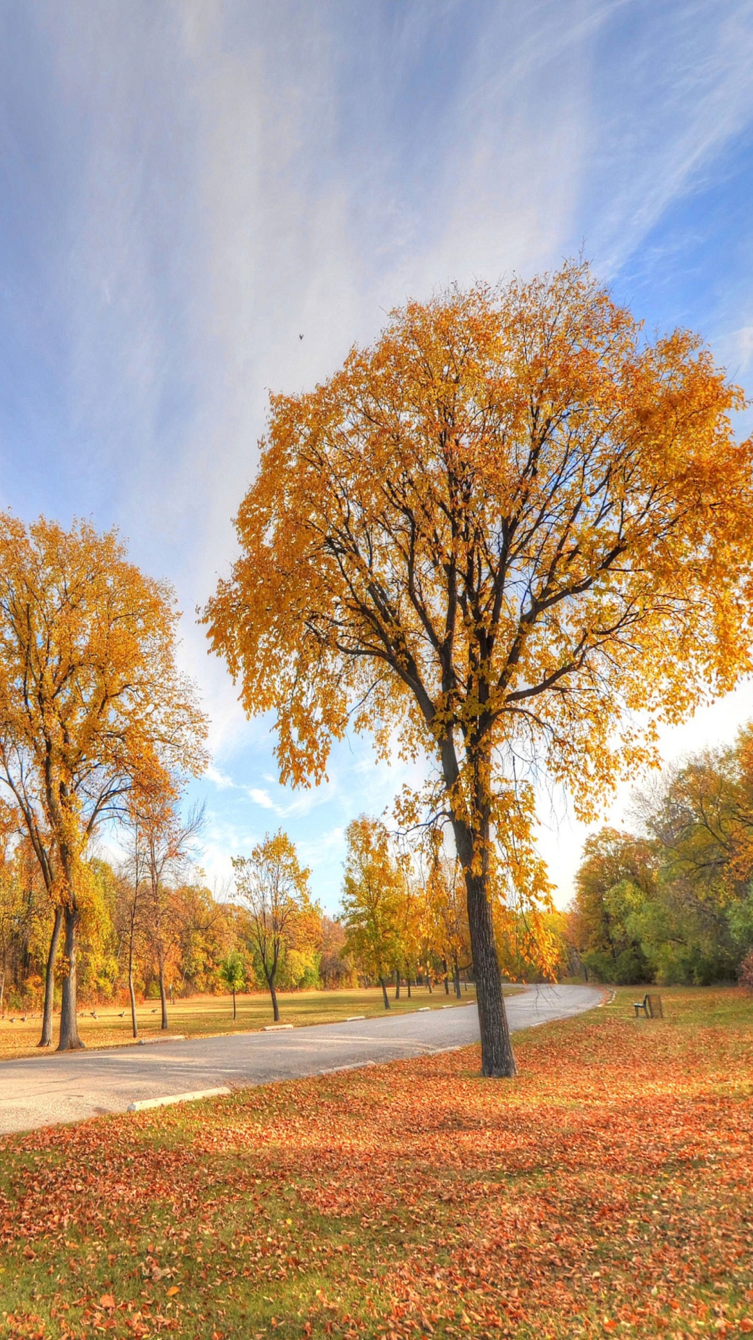 Fondo de pantalla Autumn Path 1080x1920