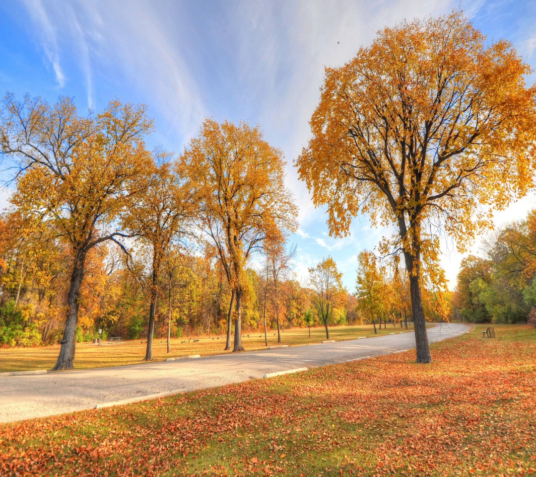 Fondo de pantalla Autumn Path 1080x960