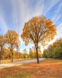 Sfondi Autumn Path 128x160