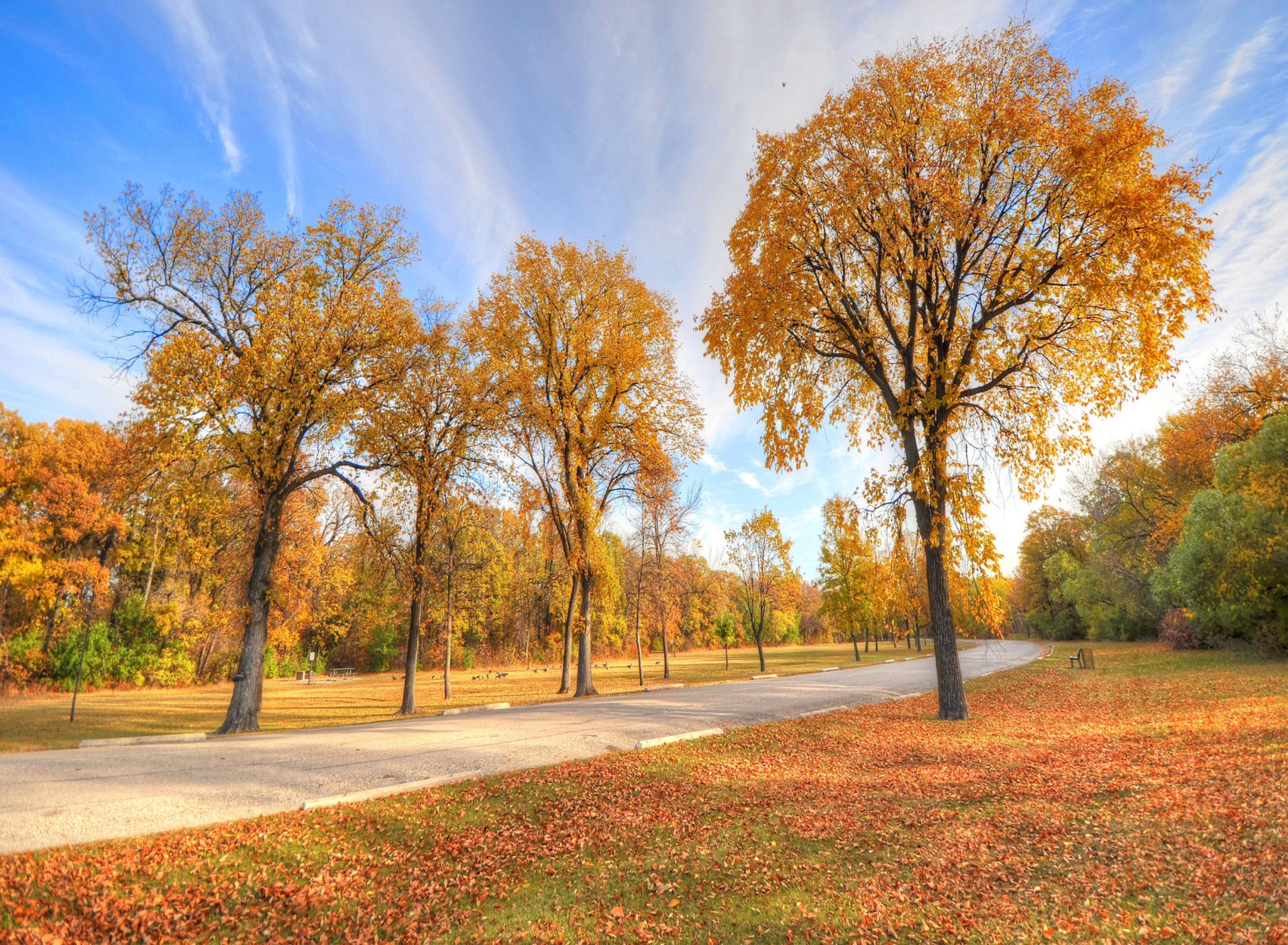 Обои Autumn Path 1920x1408