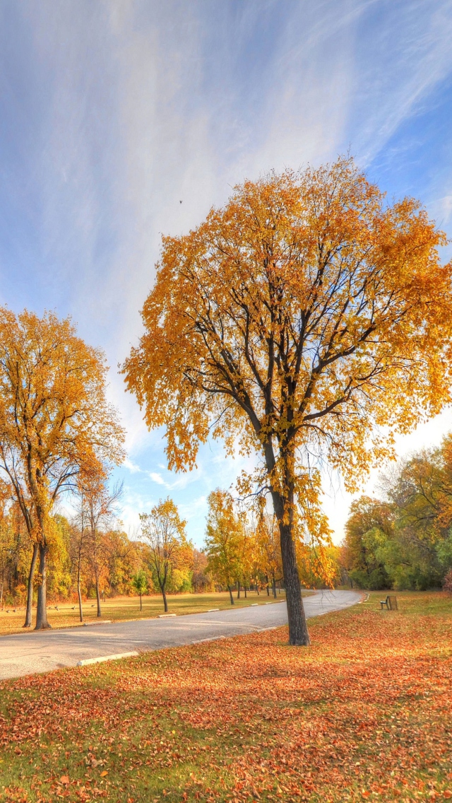 Autumn Path screenshot #1 640x1136