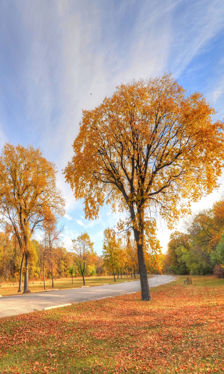 Das Autumn Path Wallpaper 768x1280