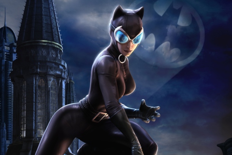 Das Catwoman Dc Universe Online Wallpaper 480x320