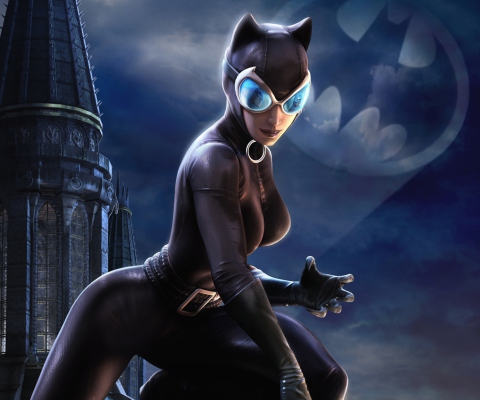 Sfondi Catwoman Dc Universe Online 480x400