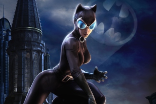 Catwoman Dc Universe Online - Obrázkek zdarma pro 1024x768