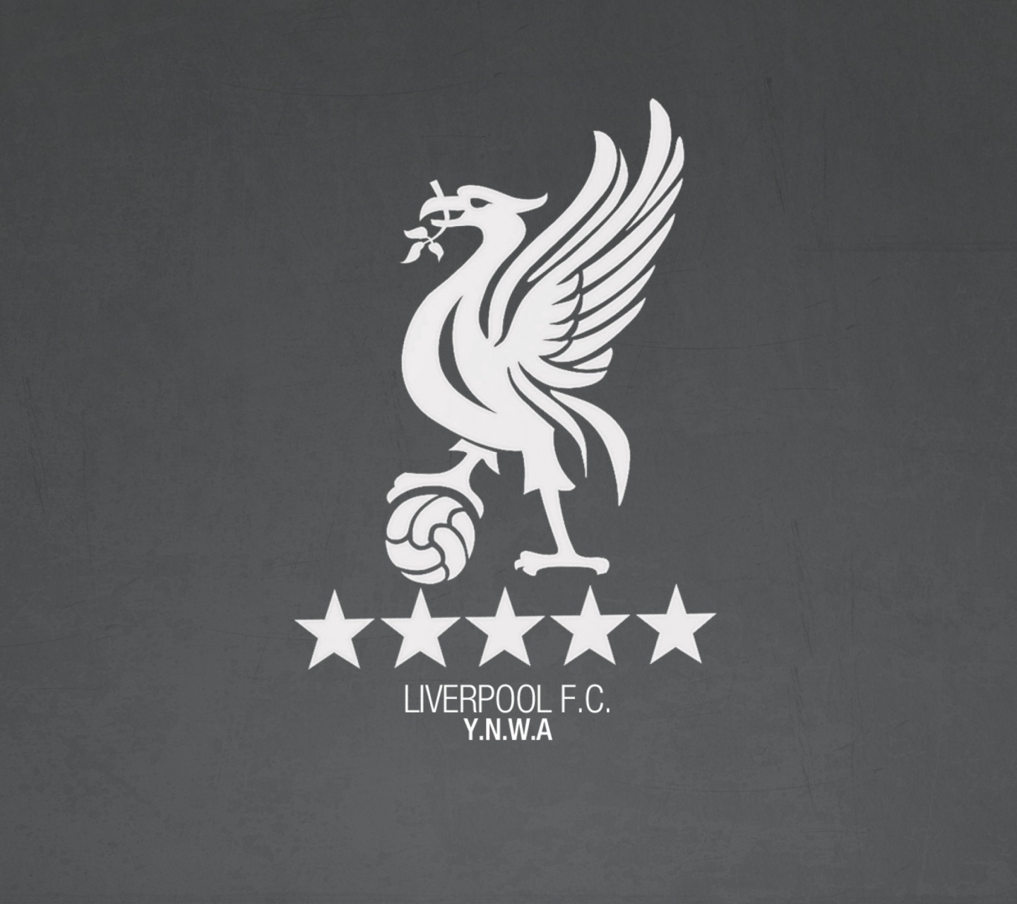 Liverpool Fc Ynwa wallpaper 1440x1280