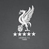 Sfondi Liverpool Fc Ynwa 208x208