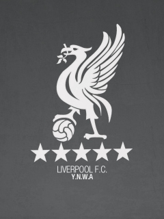 Liverpool Fc Ynwa screenshot #1 240x320