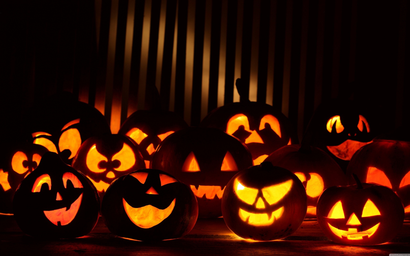 Fondo de pantalla Halloween Pumpkins In The Dark 1680x1050