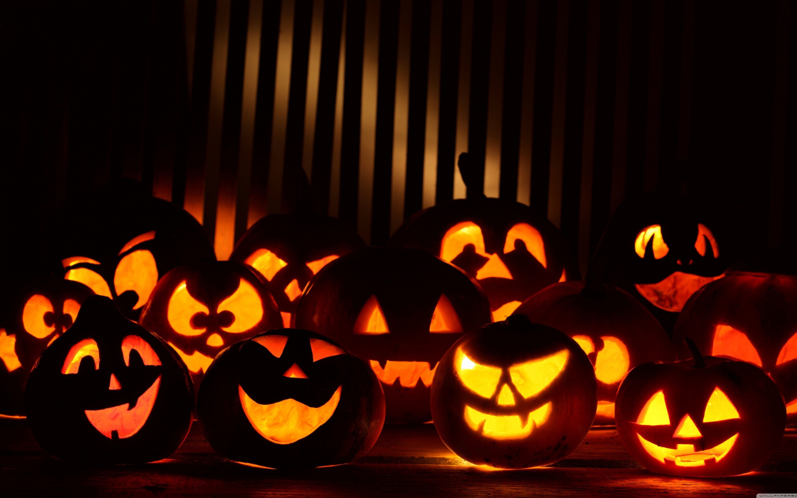 Sfondi Halloween Pumpkins In The Dark 2560x1600