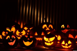 Halloween Pumpkins In The Dark Background for Android, iPhone and iPad