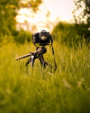 Camera In Grass wallpaper 128x160