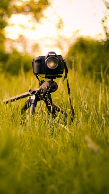 Обои Camera In Grass 360x640