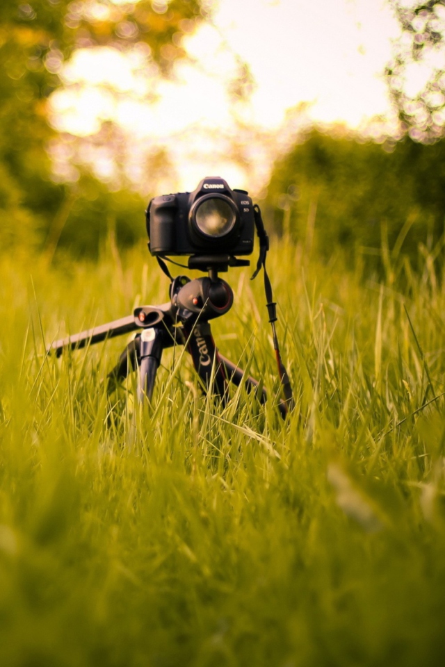 Camera In Grass wallpaper 640x960