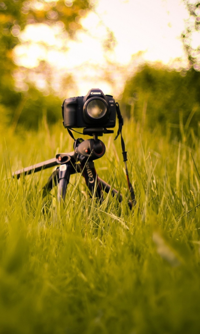 Das Camera In Grass Wallpaper 768x1280