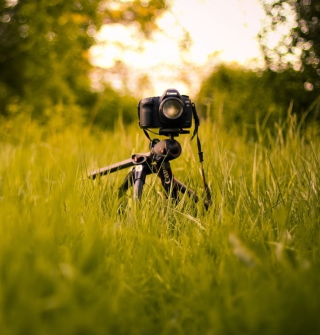 Camera In Grass - Obrázkek zdarma pro 1024x1024