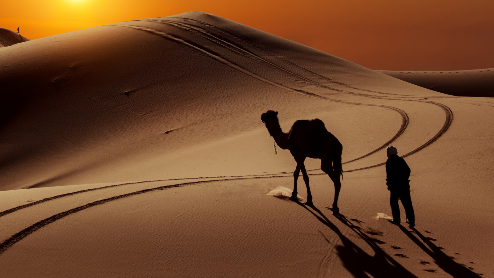 Desert на русском. Путник в пустыне. Странник. Скот выгуливают на пустыне. Ширма пустыня для мультипликаций.