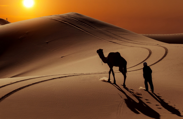 Fondo de pantalla Desert