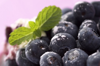 Frozen Blackberries sfondi gratuiti per cellulari Android, iPhone, iPad e desktop