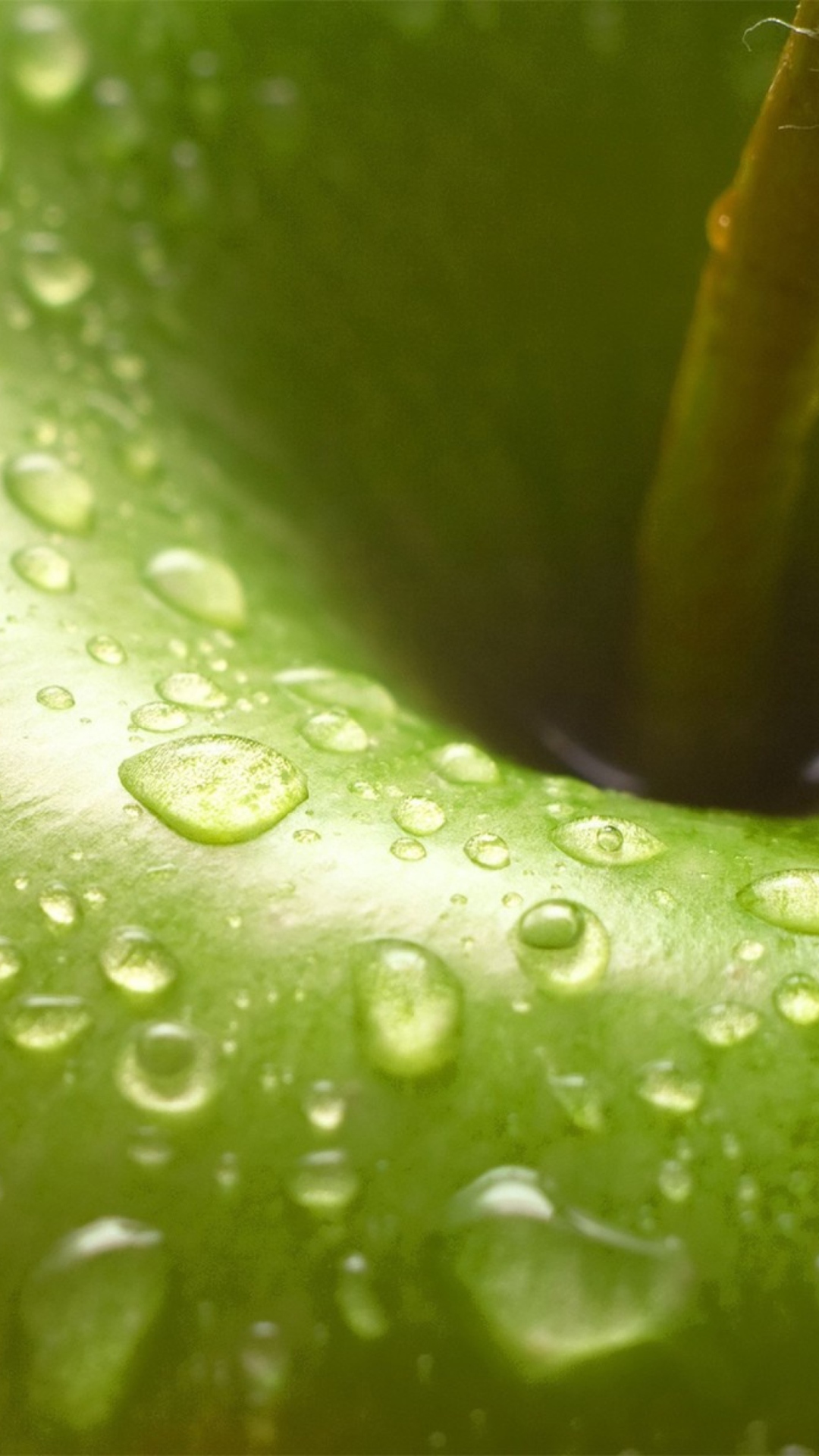 Sfondi Water Drops On Green Apple 1080x1920