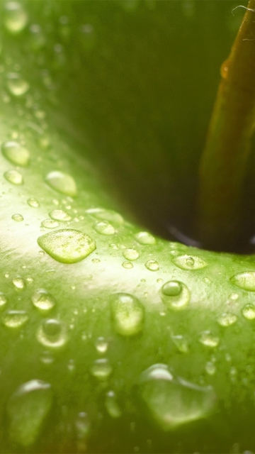 Обои Water Drops On Green Apple 360x640