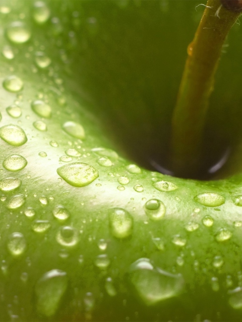 Das Water Drops On Green Apple Wallpaper 480x640