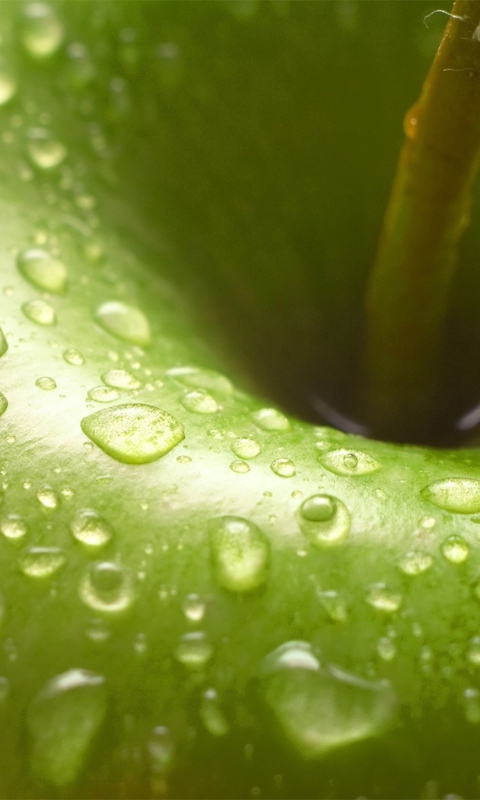 Water Drops On Green Apple wallpaper 480x800