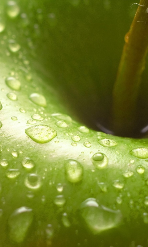 Обои Water Drops On Green Apple 480x800