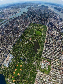 Das Central Park New York From Air Wallpaper 240x320