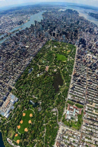 Fondo de pantalla Central Park New York From Air 320x480