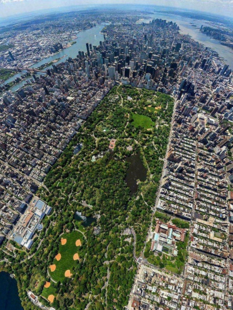 Central Park New York From Air wallpaper 480x640