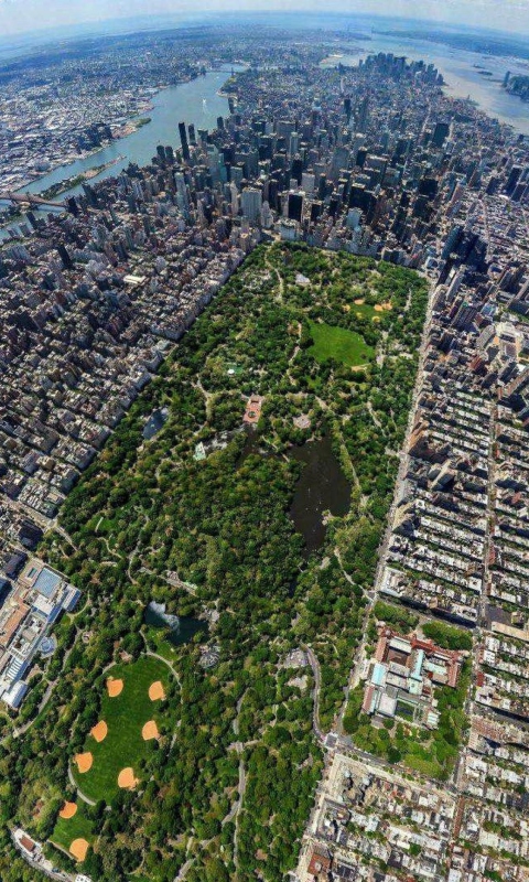 Central Park New York From Air wallpaper 480x800