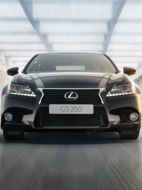 Das Lexus GS250 Wallpaper 480x640