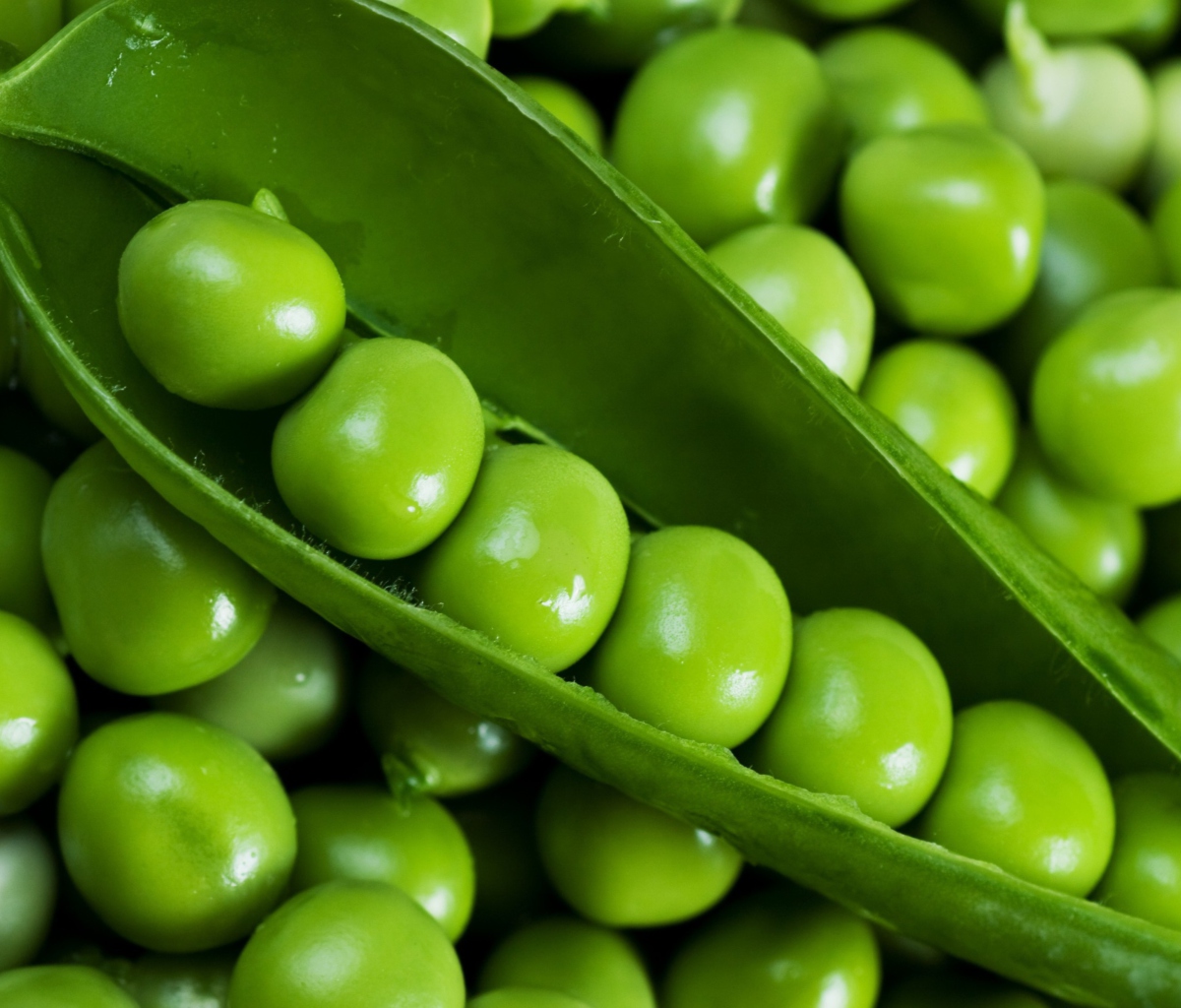 Обои Green Peas 1200x1024