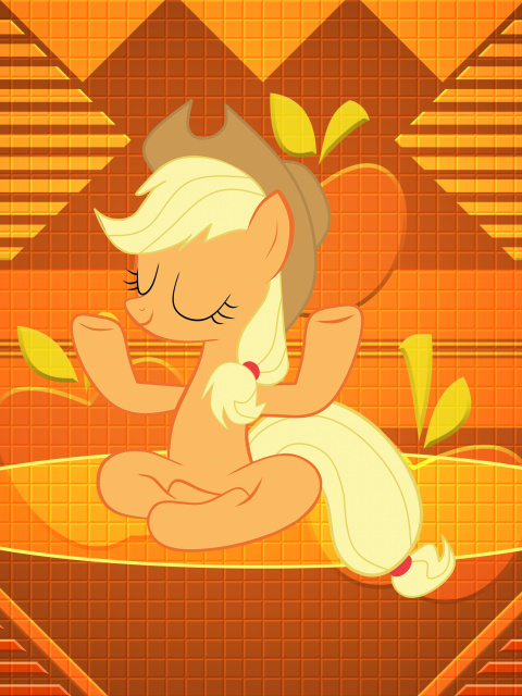 Fondo de pantalla My Little Pony Friendship Is Magic 480x640