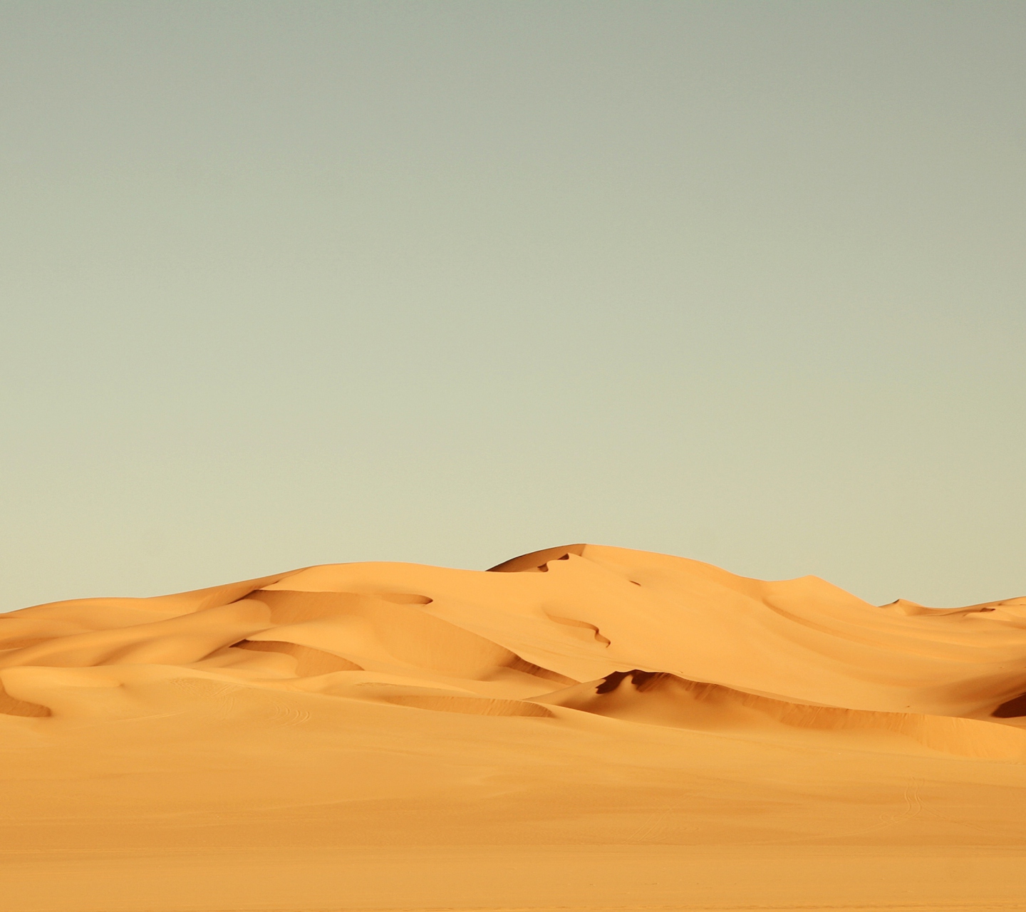 Screenshot №1 pro téma Sahara Desert 1440x1280
