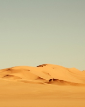 Das Sahara Desert Wallpaper 176x220